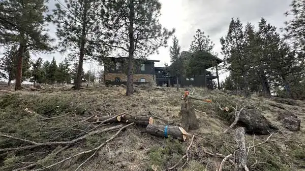 Forest Management
